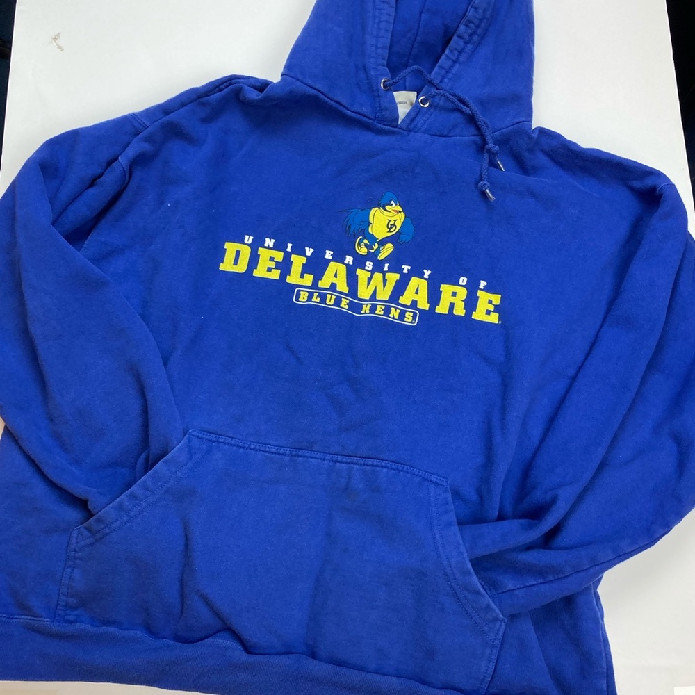university of Delaware hoodie